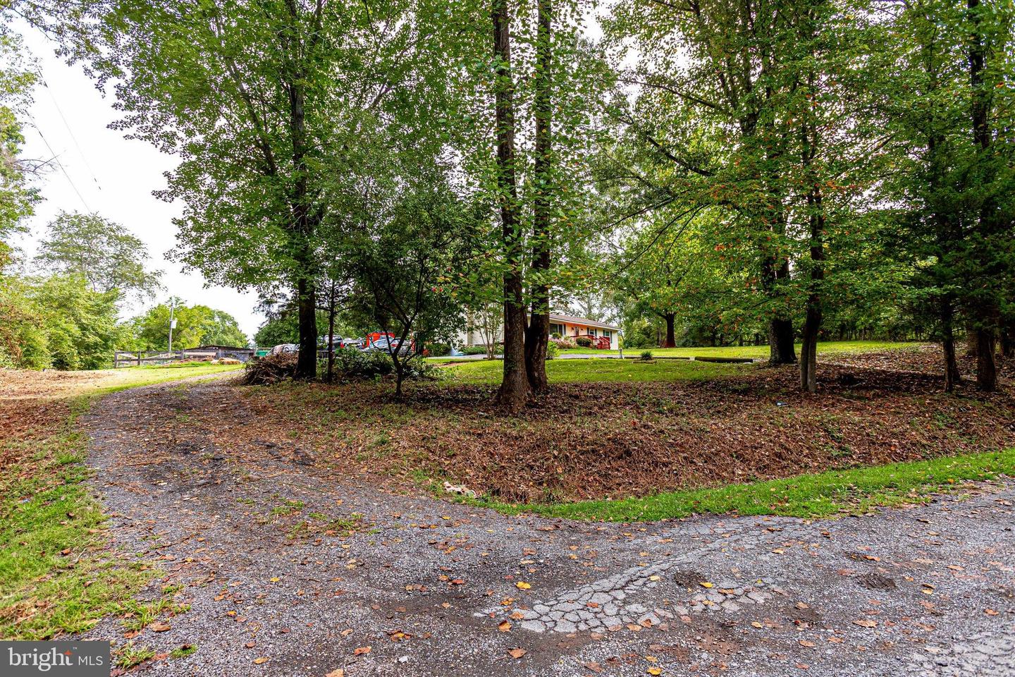 9768 Daniel COURT