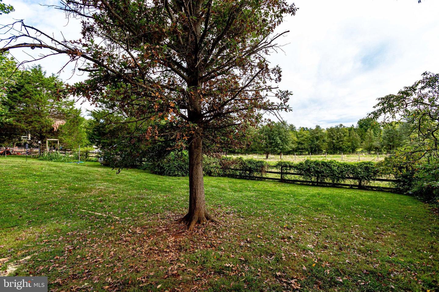 9768 Daniel COURT