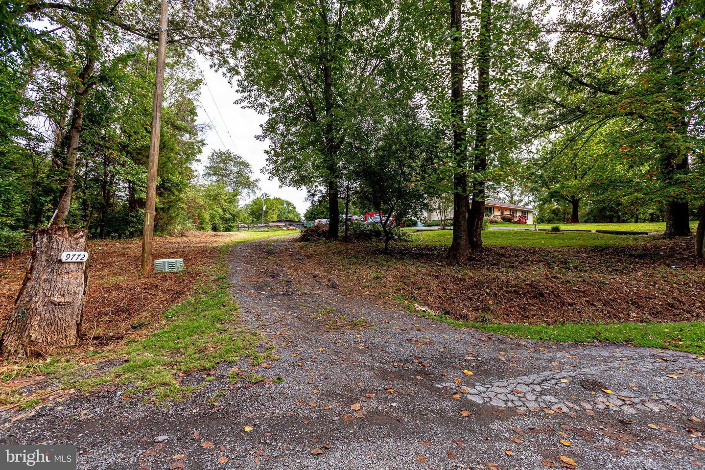 9768 Daniel COURT
