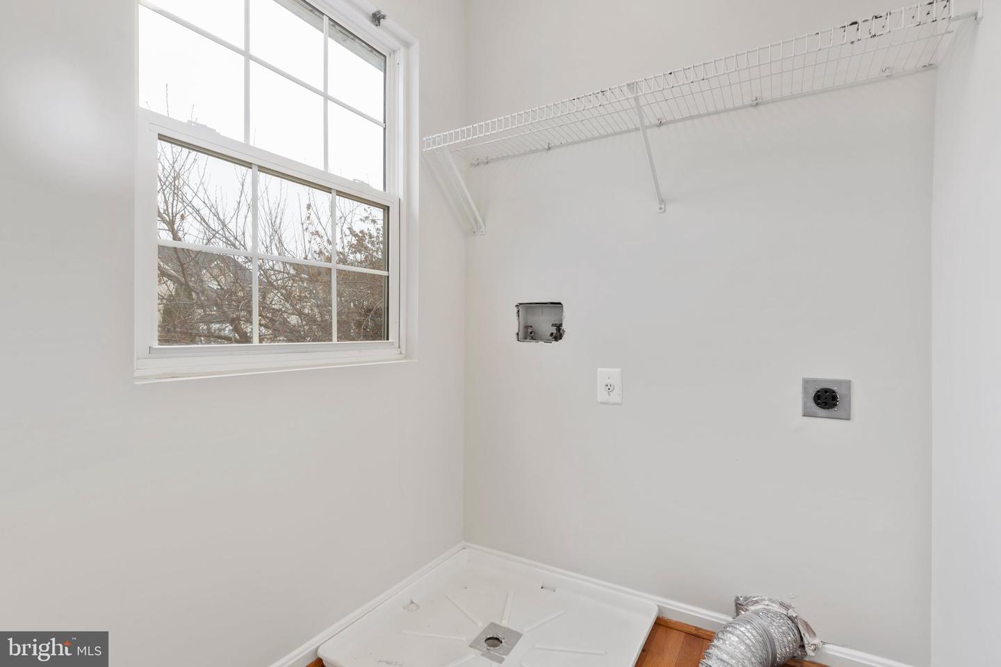 5560 Hobsons Choice LOOP