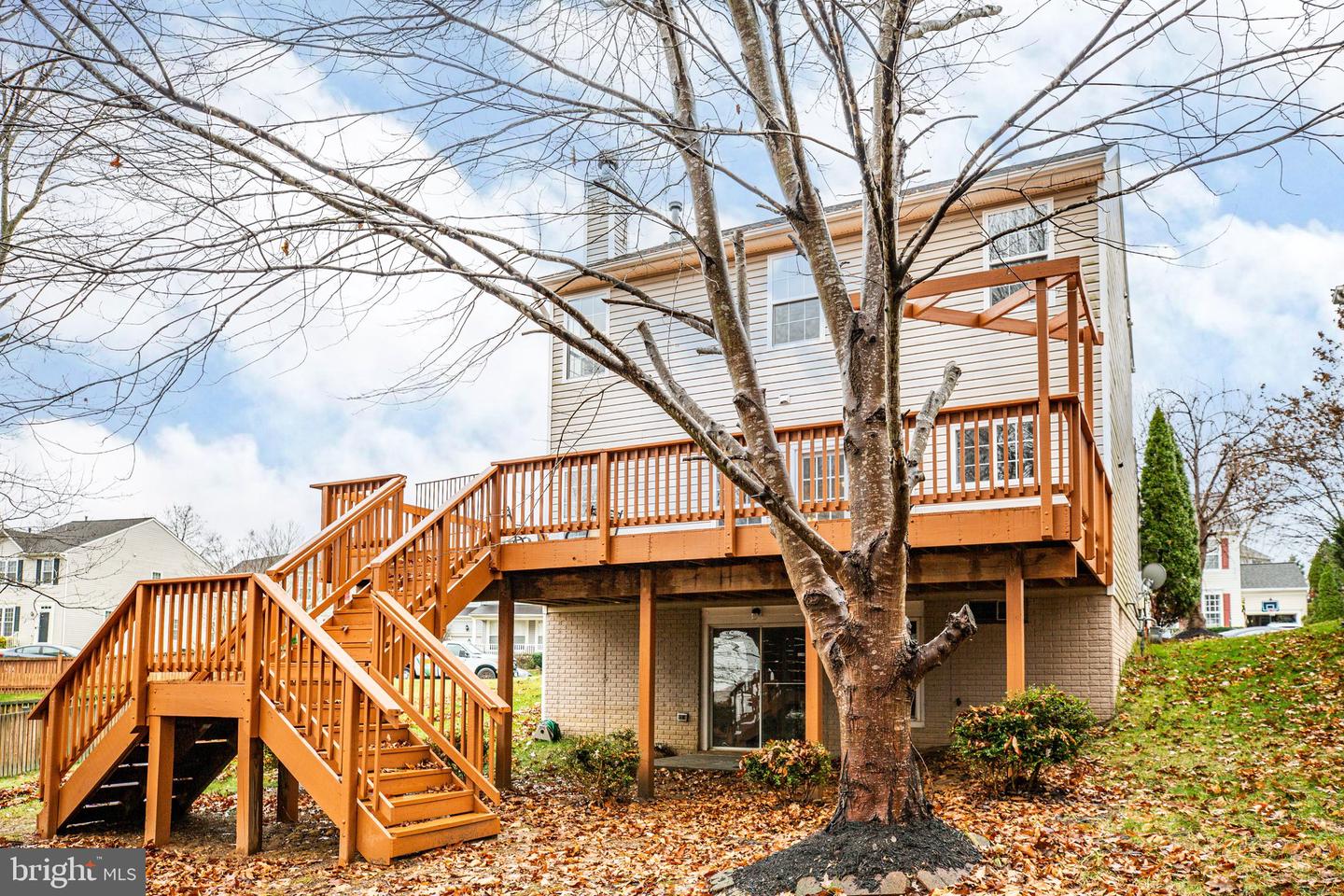 5560 Hobsons Choice LOOP