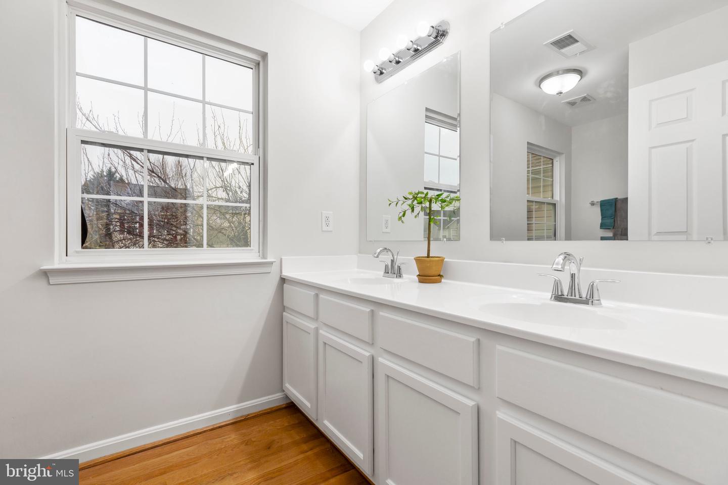 5560 Hobsons Choice LOOP