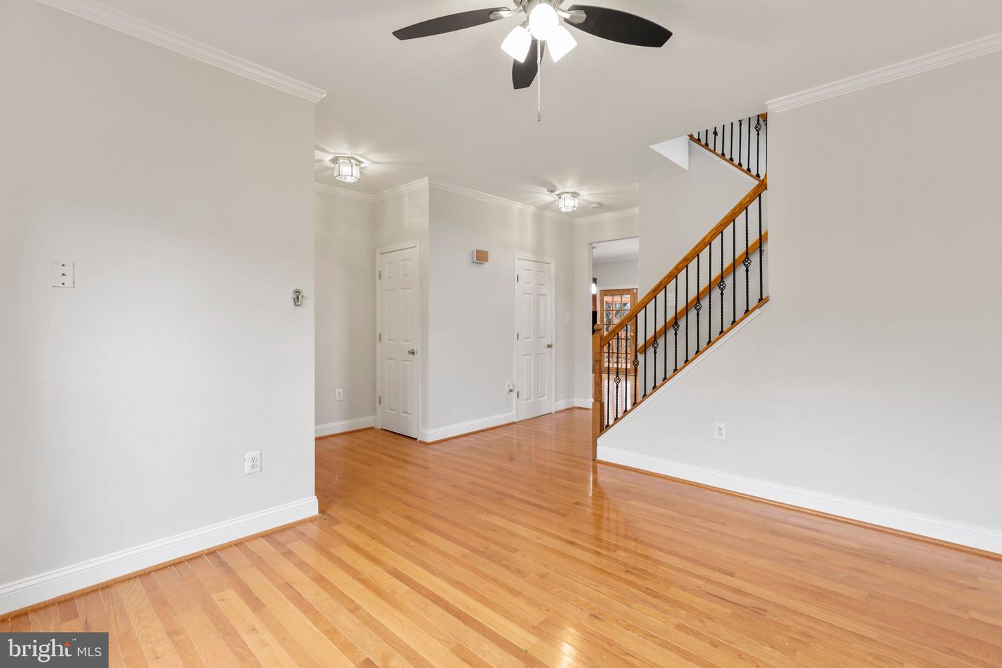 5560 Hobsons Choice LOOP