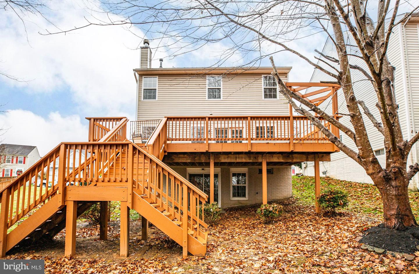 5560 Hobsons Choice LOOP