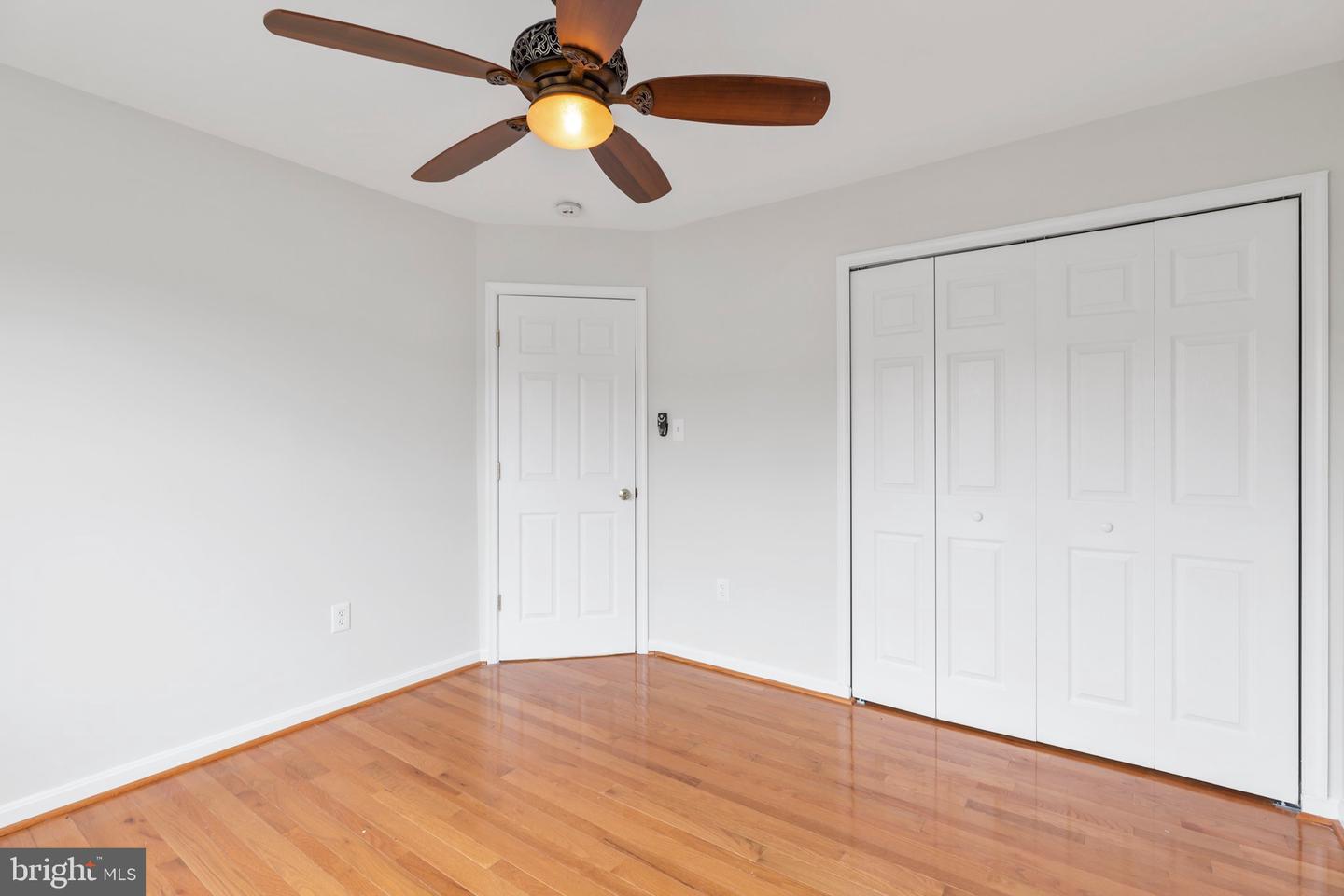 5560 Hobsons Choice LOOP