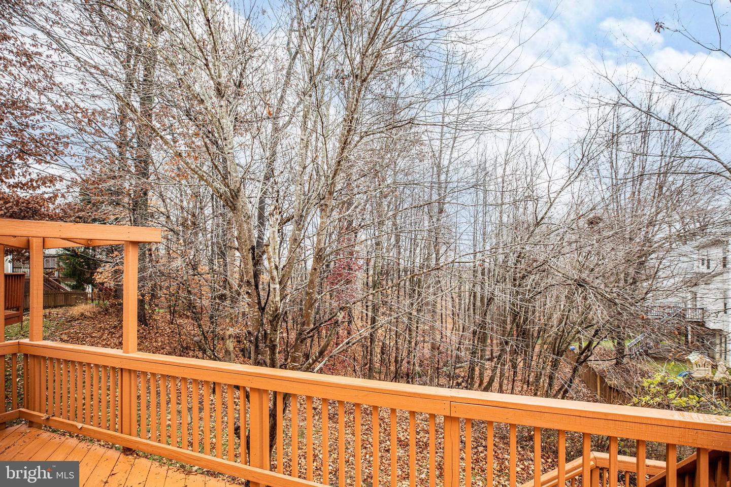 5560 Hobsons Choice LOOP