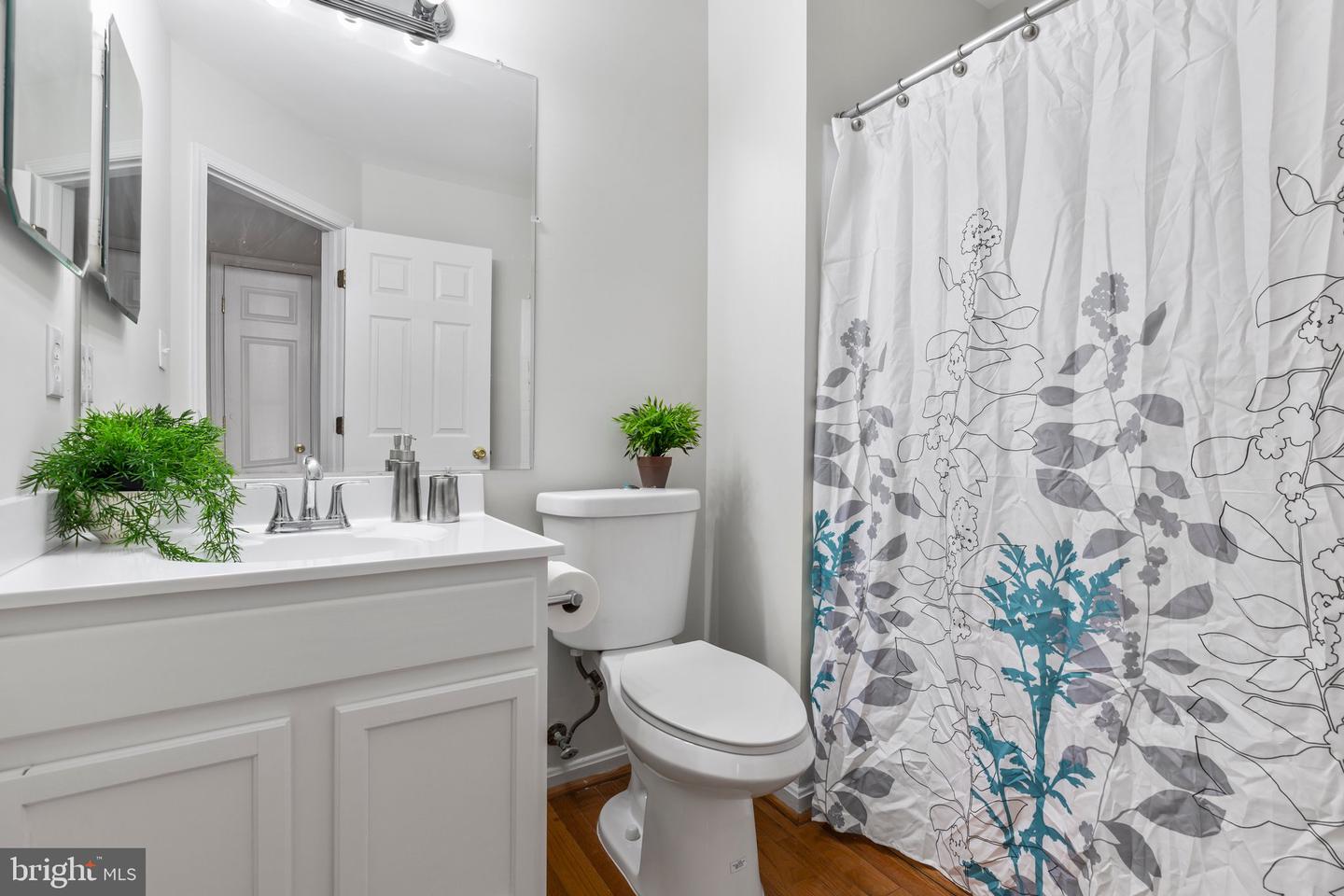 5560 Hobsons Choice LOOP