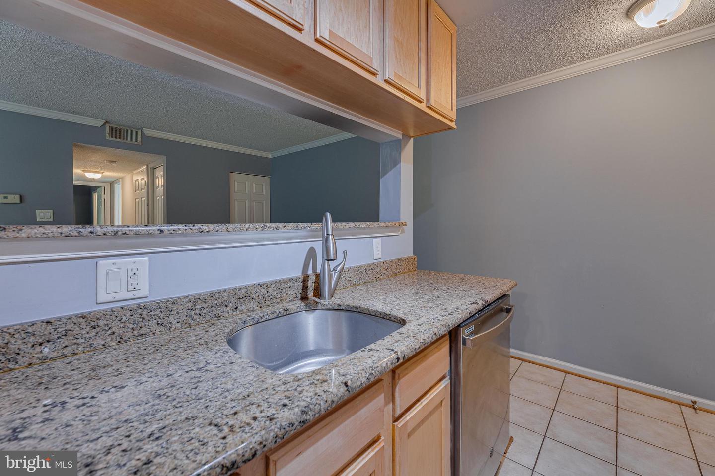 15536 Horseshoe LANE Unit: 536