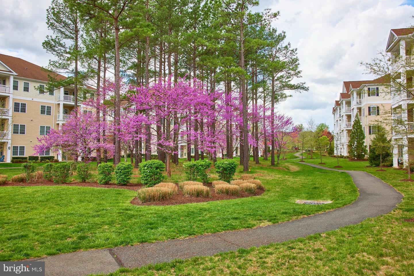 15211 Royal Crest DRIVE Unit: 204