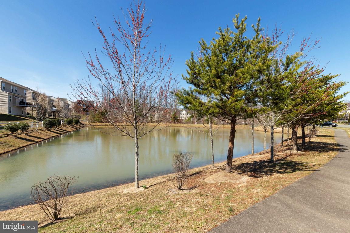12675 Lakeside COURT