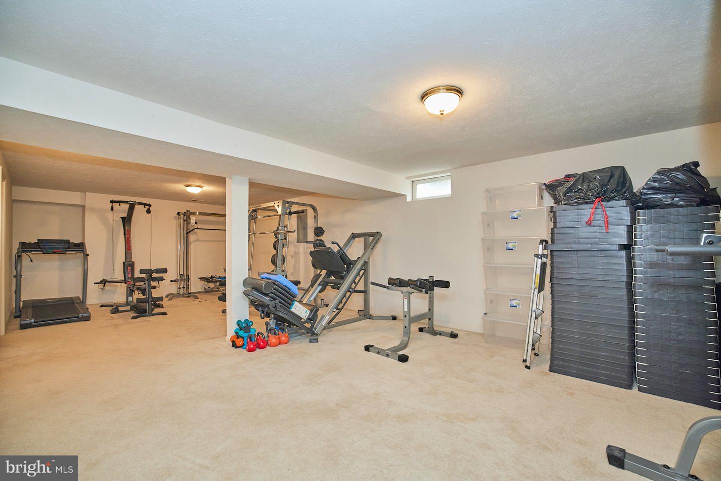 10512 Coral Berry DRIVE