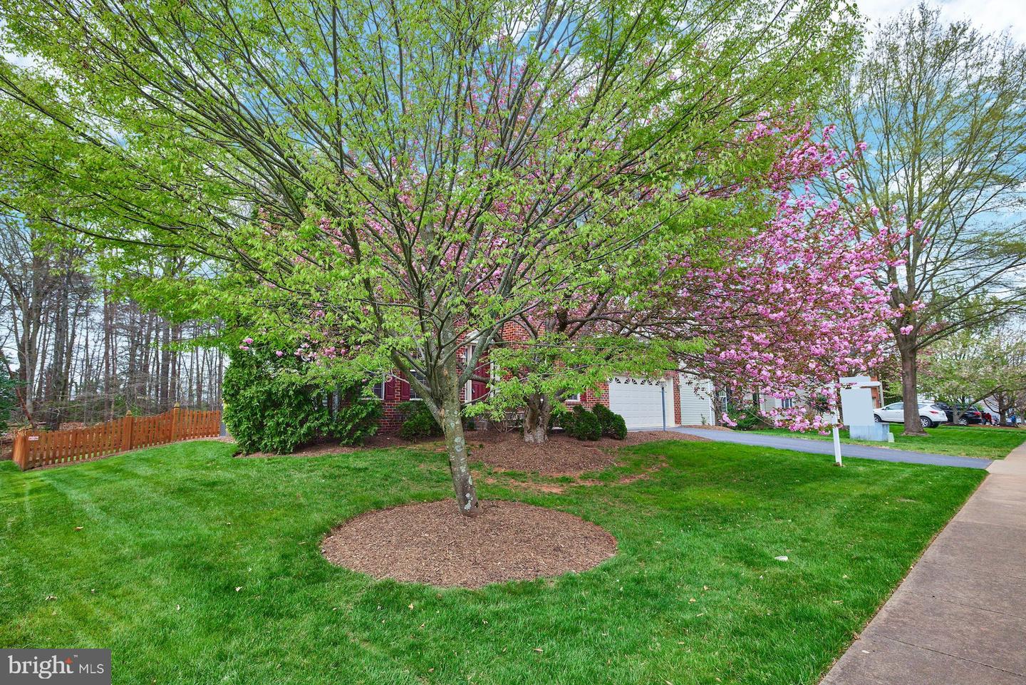 10512 Coral Berry DRIVE