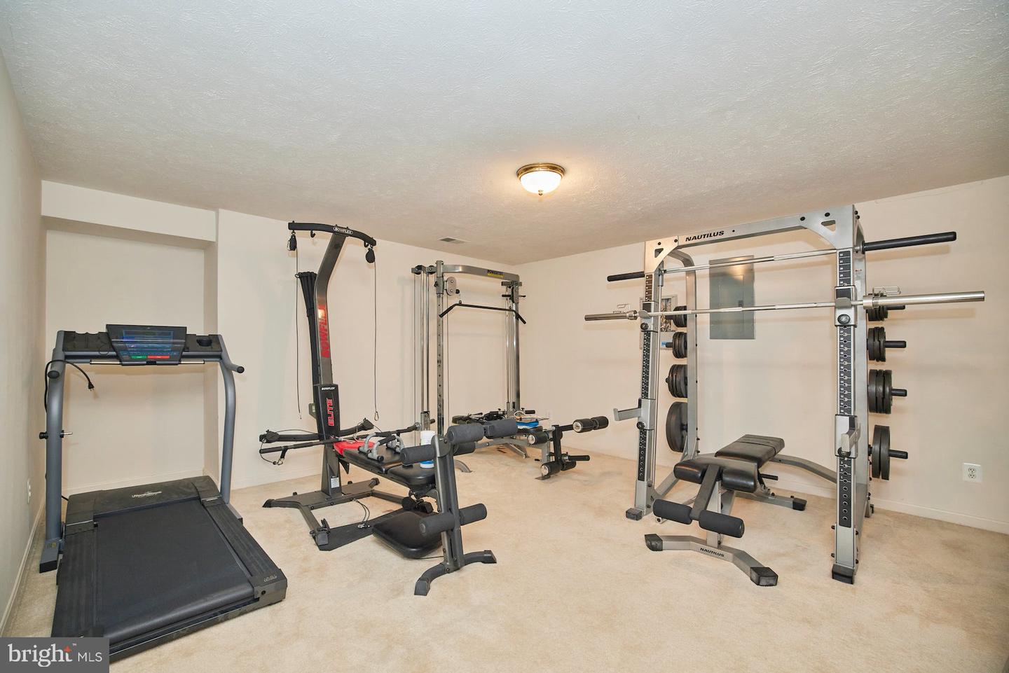 10512 Coral Berry DRIVE