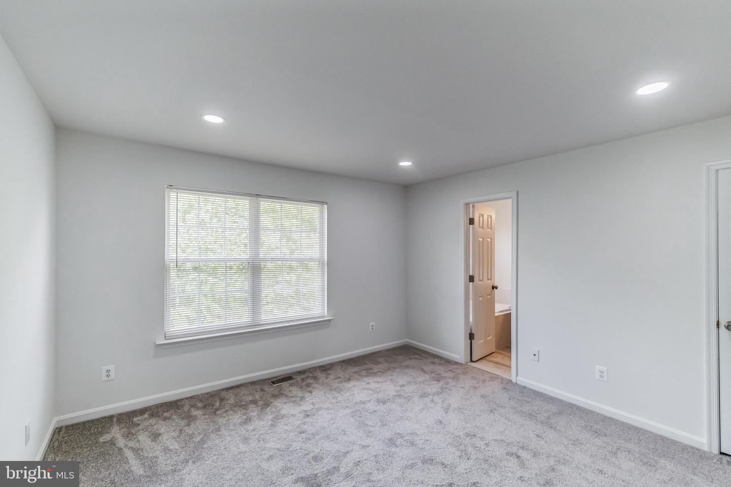 4091 Yellow Stone LOOP