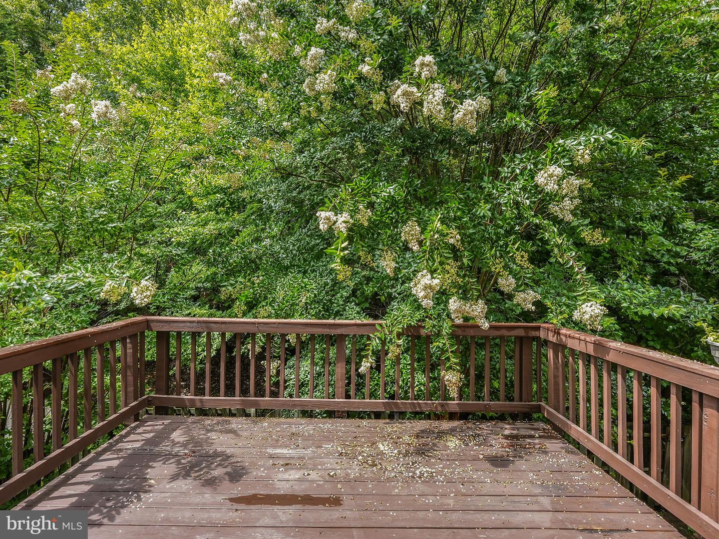 4156 la Mauricie LOOP