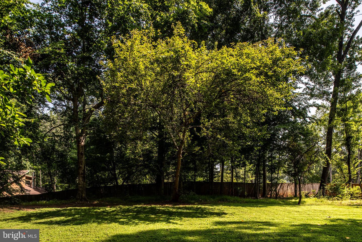 12019 Parkriver DRIVE