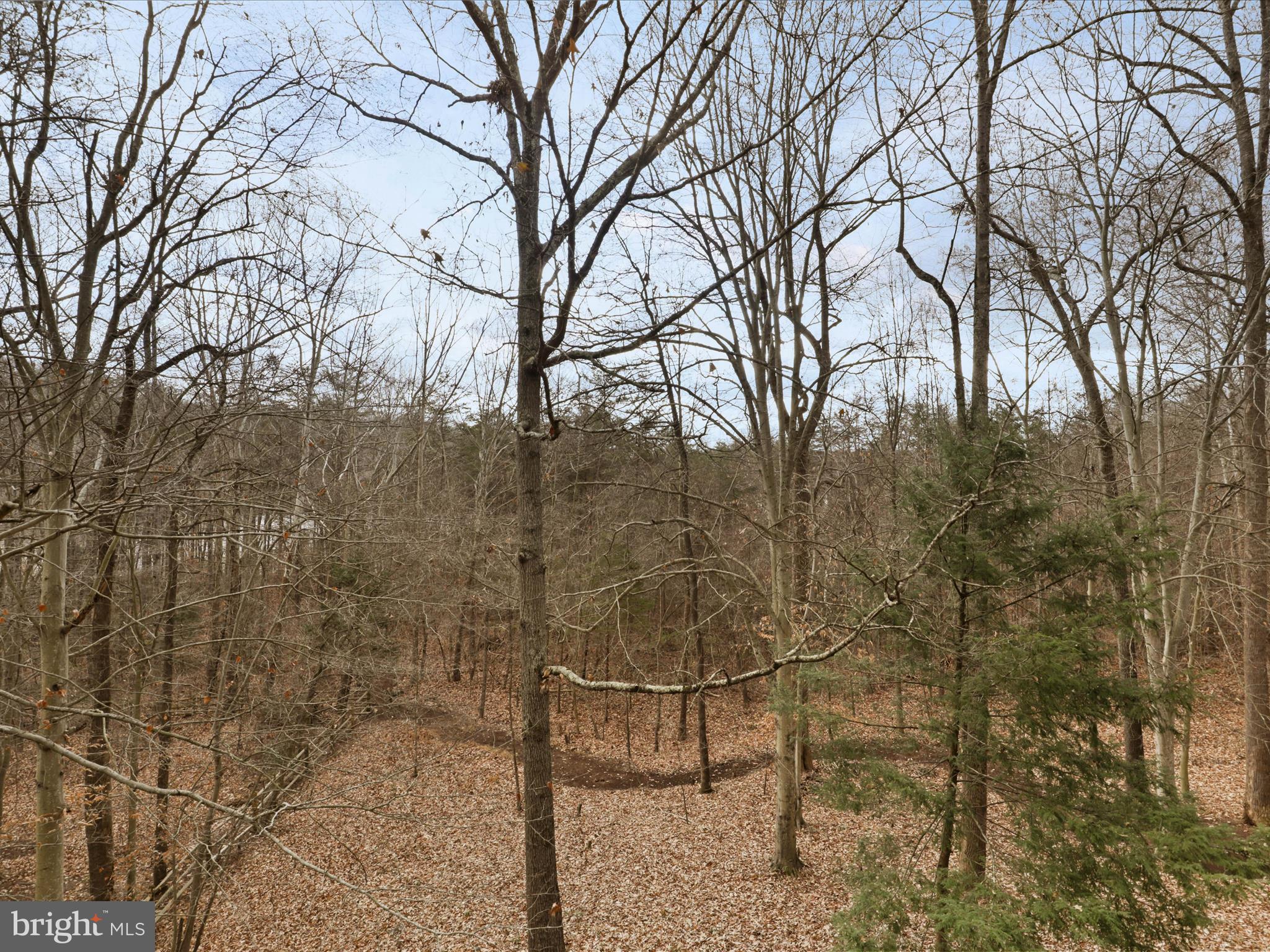 6111 Turkey Run COURT