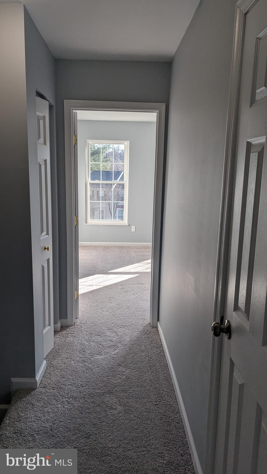 1744 TIGER LILY CIRCLE