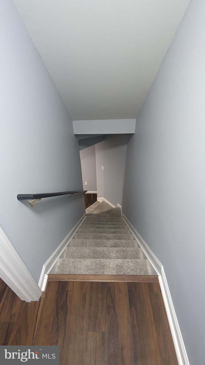 1744 TIGER LILY CIRCLE