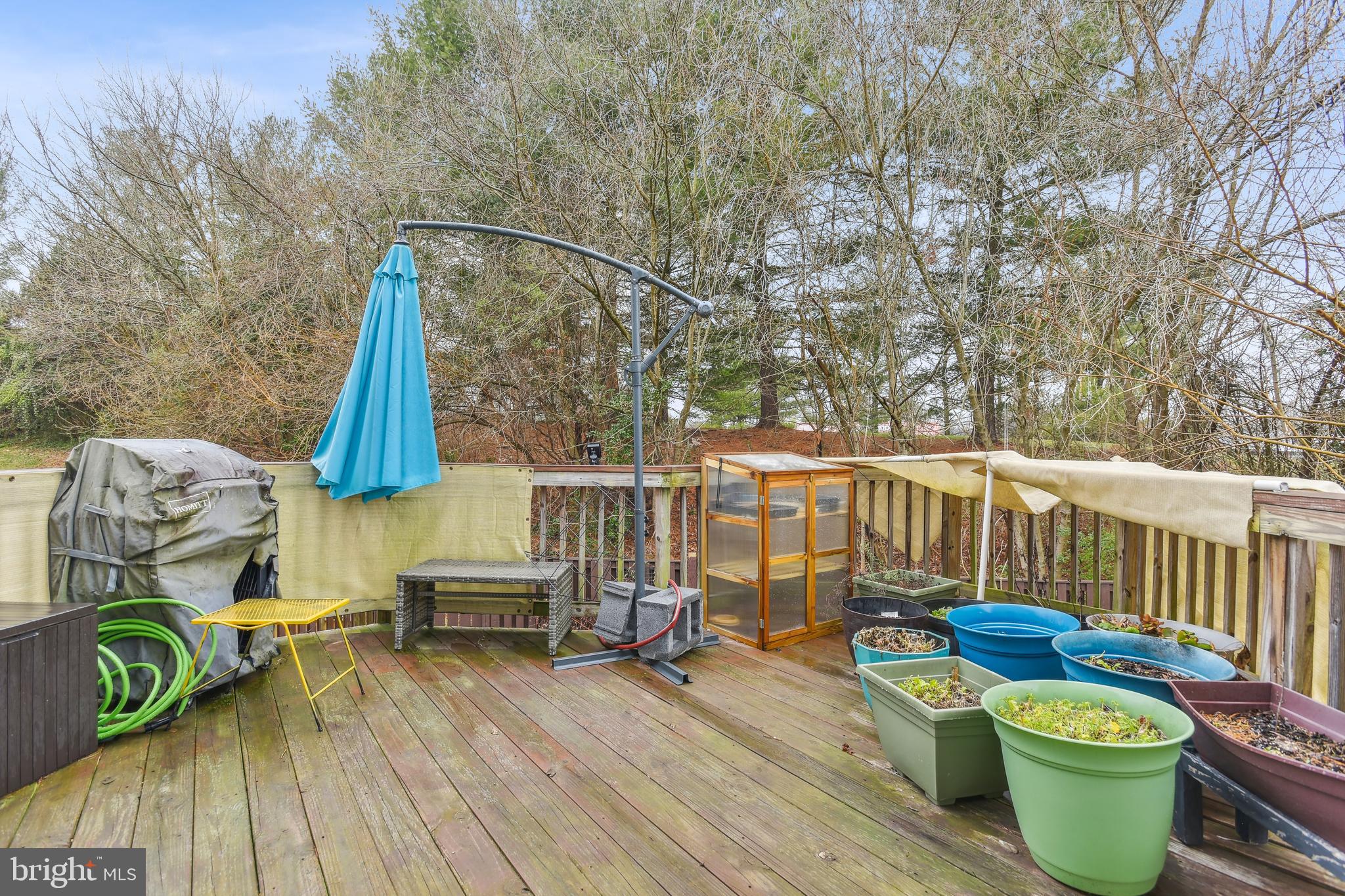 7447 Courtland Cir