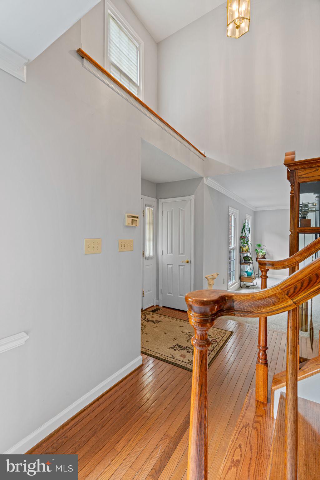 14661 Kogan Dr