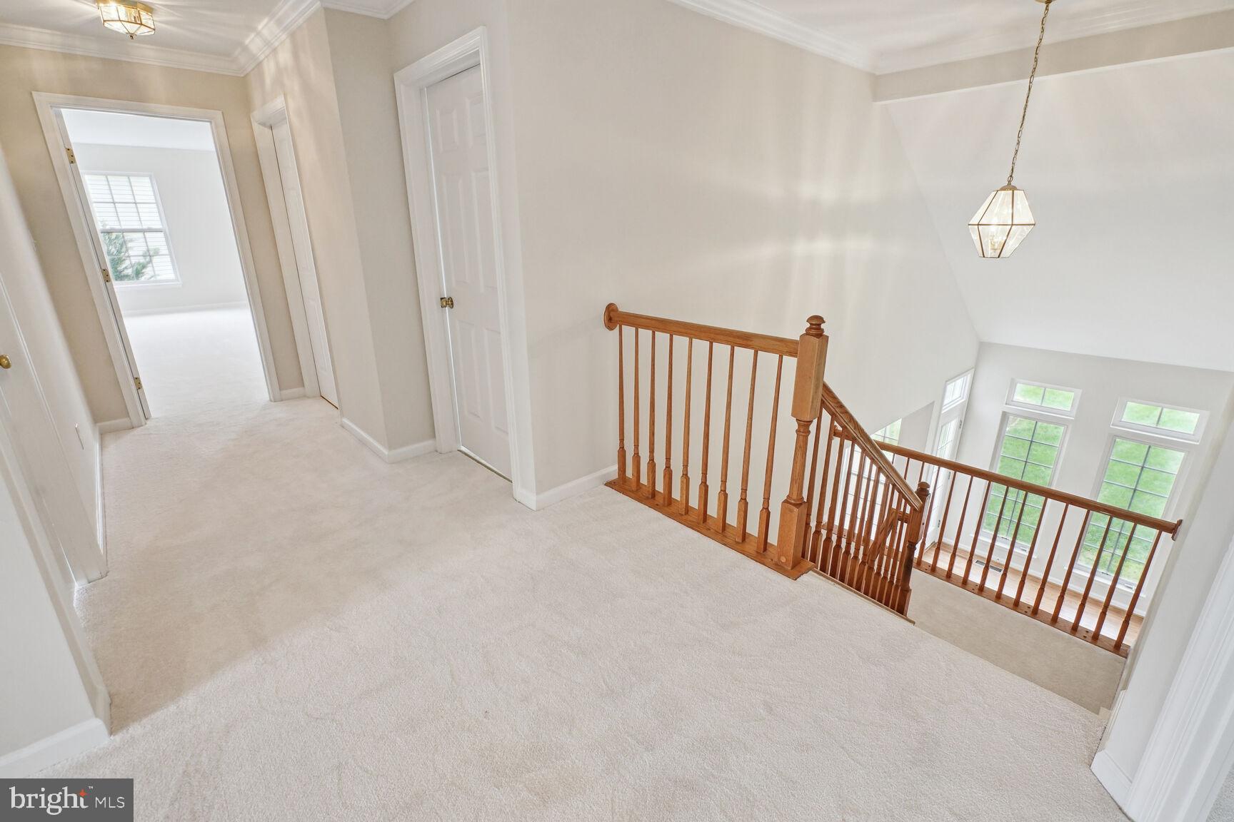10236 Inchberry Ct