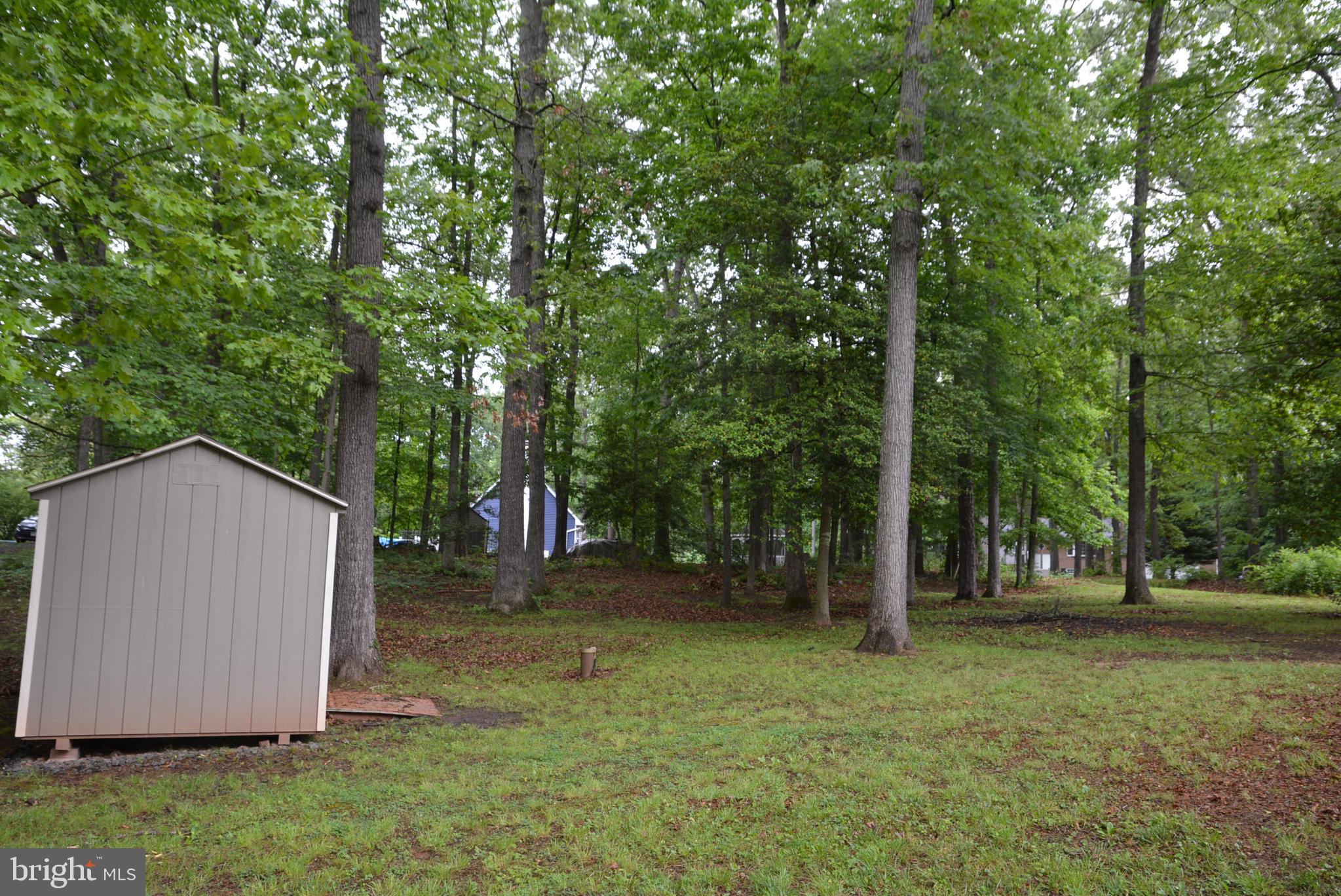 12013 Bradley Forest Rd
