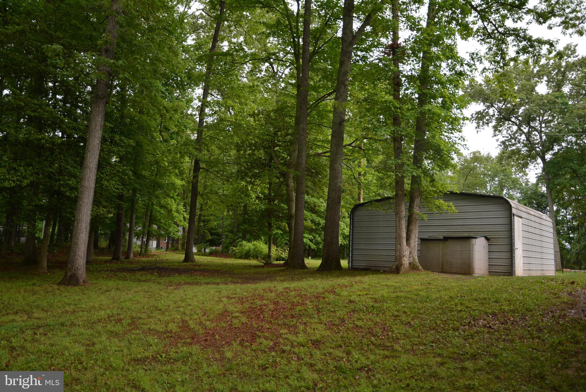 12013 Bradley Forest Rd