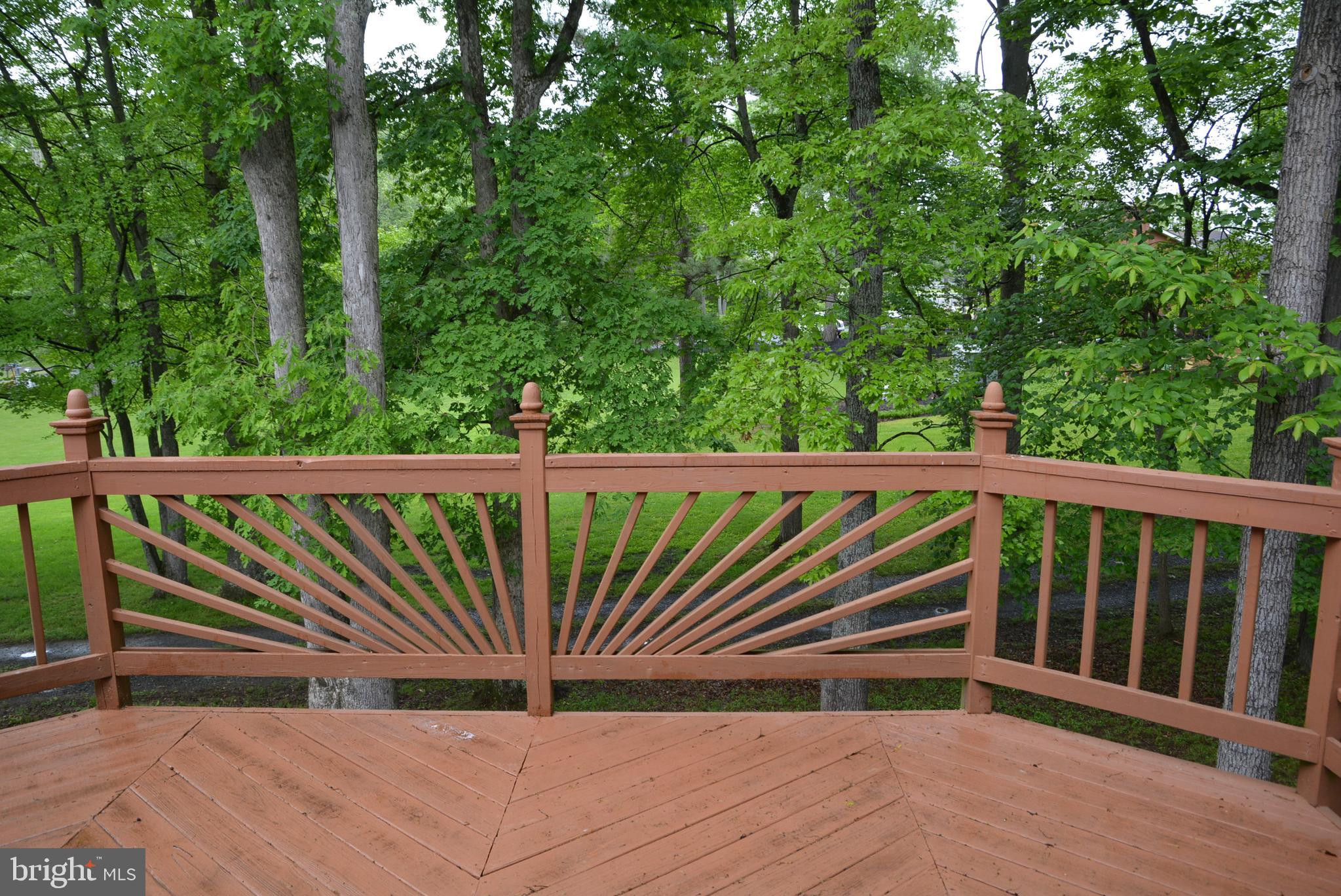 12013 Bradley Forest Rd