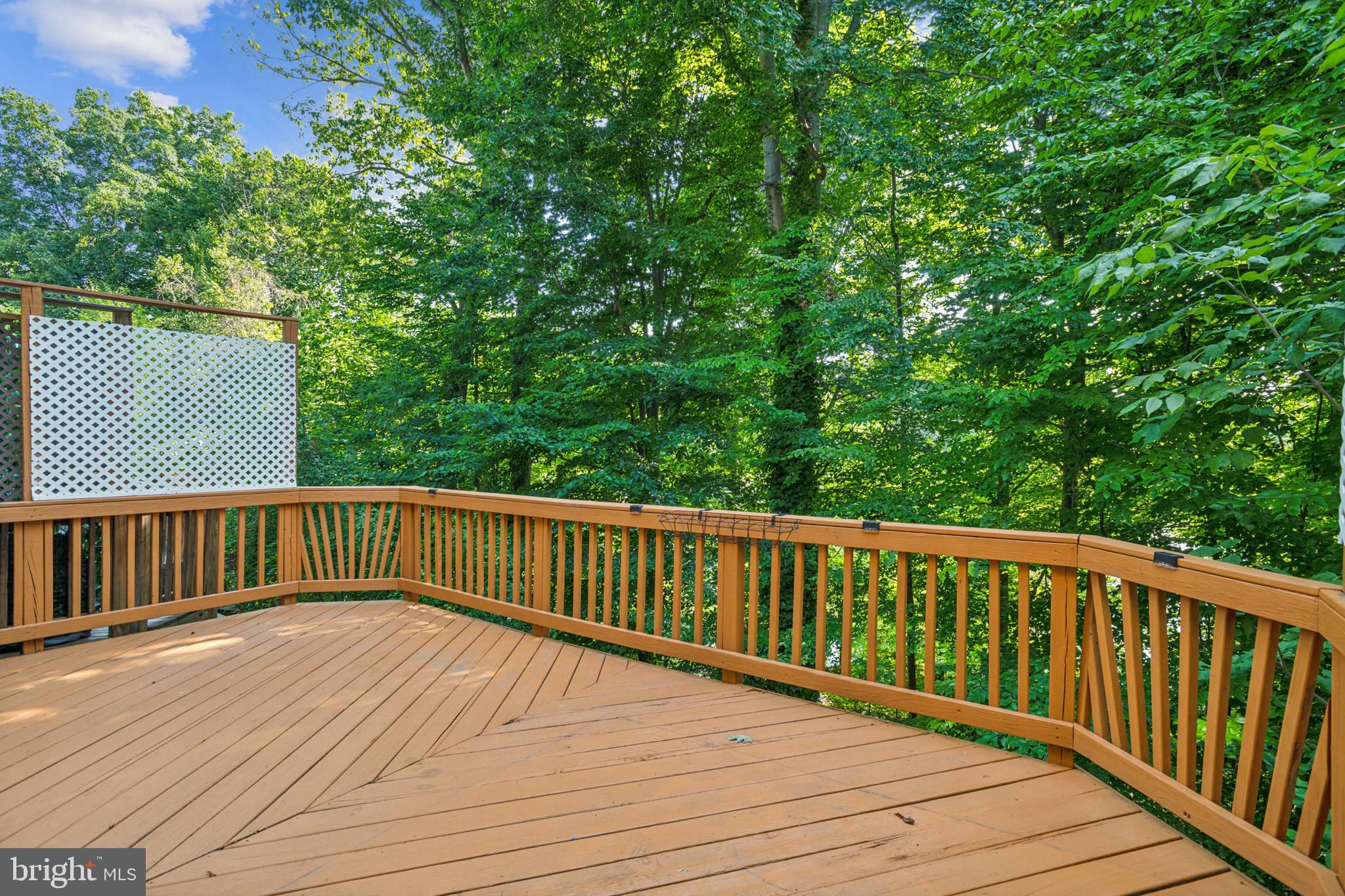 4969 Buena Vista Dr