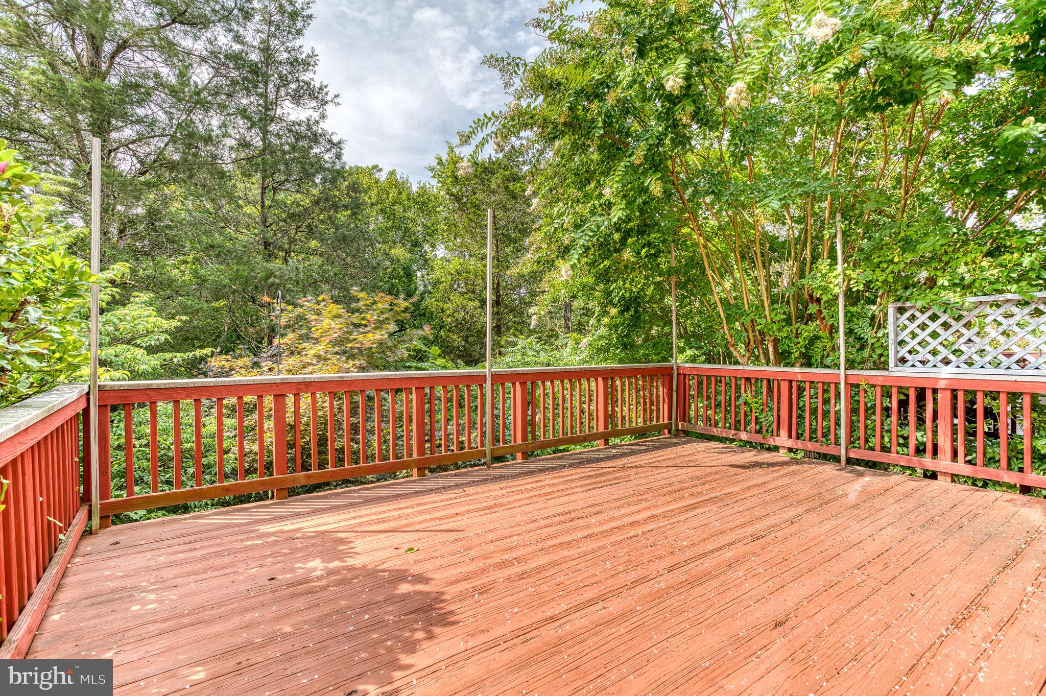14103 CATBIRD DRIVE