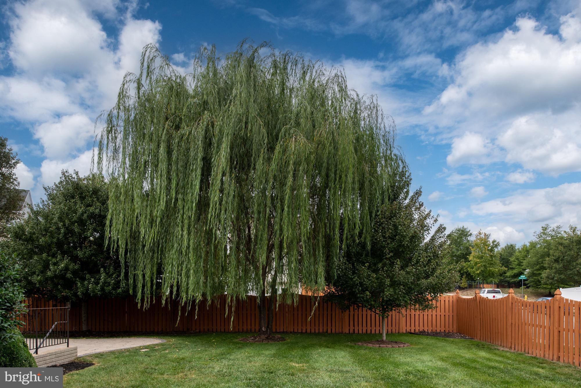 8464 Lanier Overlook Ct