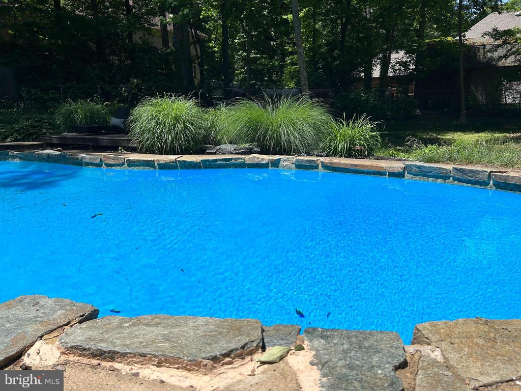 3146 Lookout Point Ct