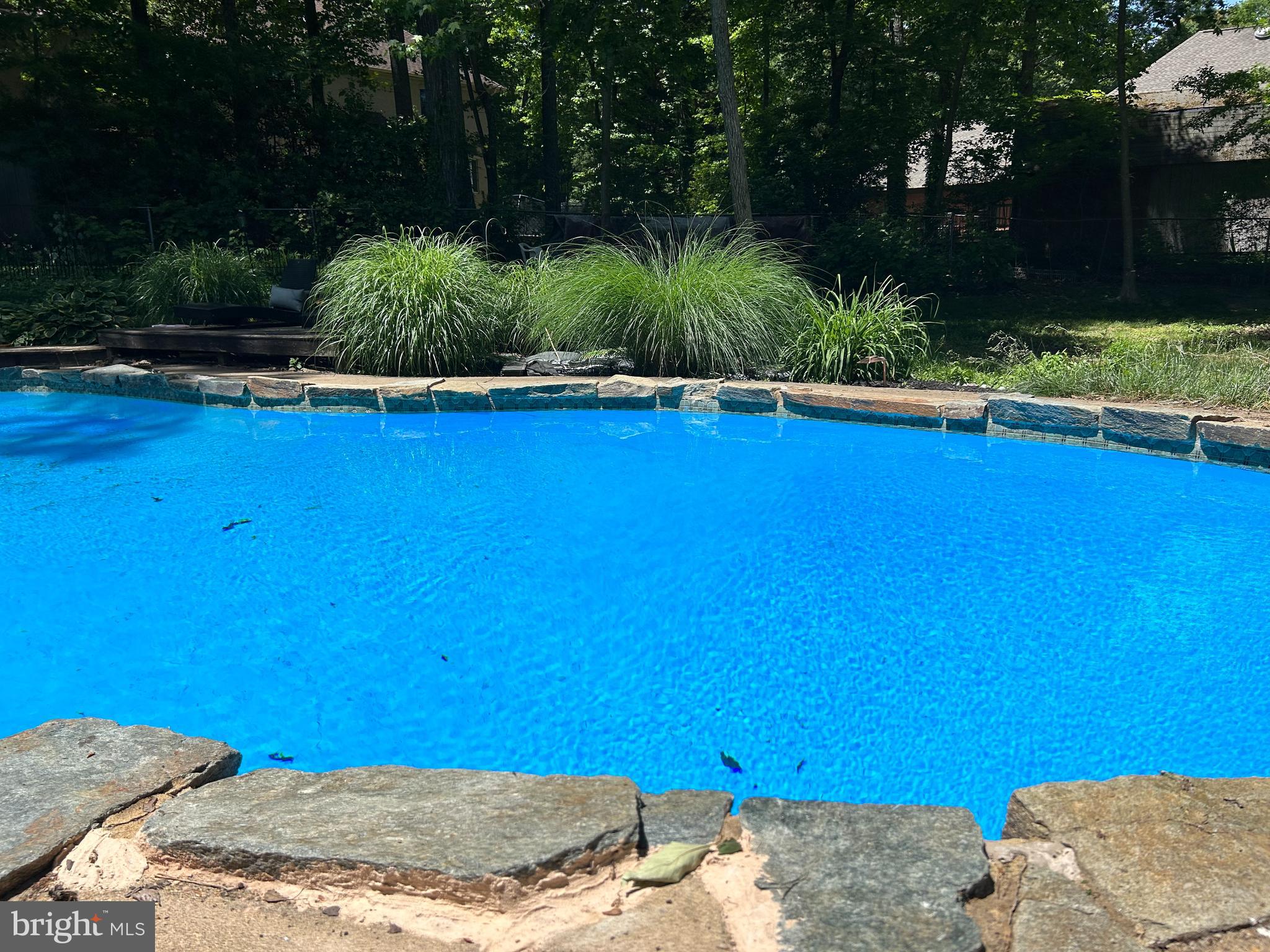 3146 Lookout Point Ct