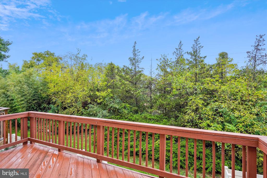 13318 Colchester Ferry Pl