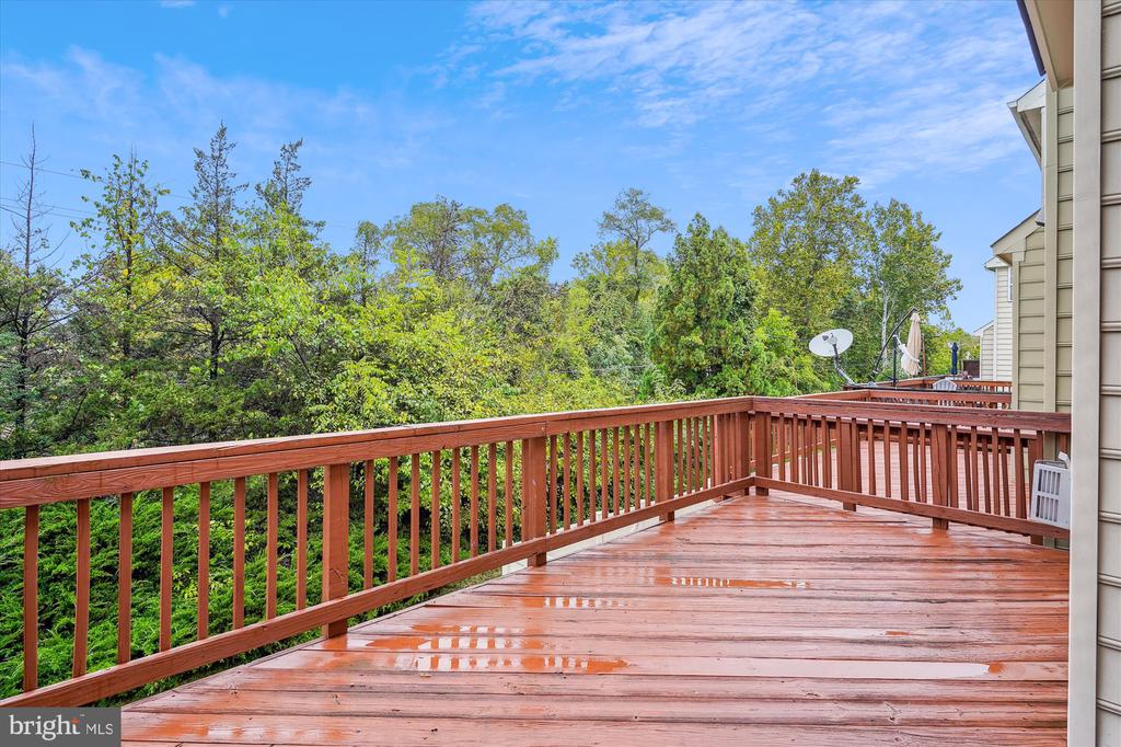 13318 Colchester Ferry Pl