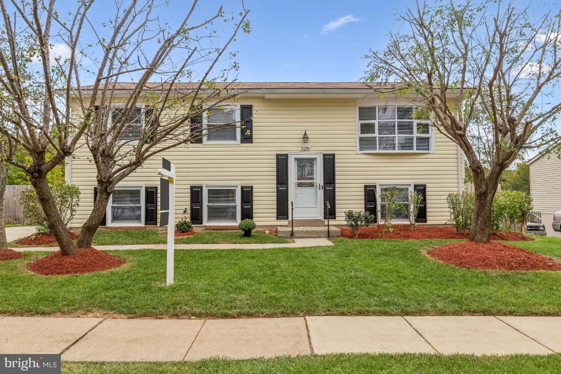5291 Mansfield Ct