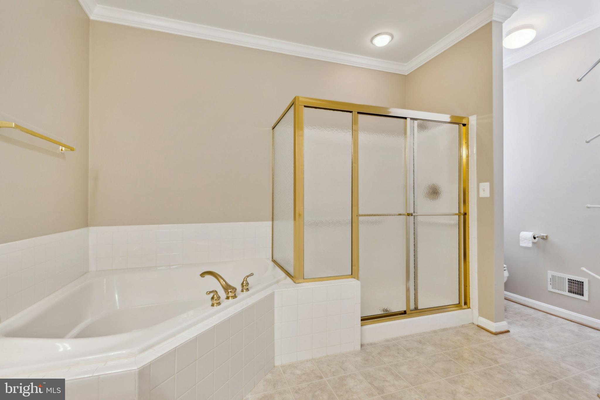 17241 Fresh Meadow Trl