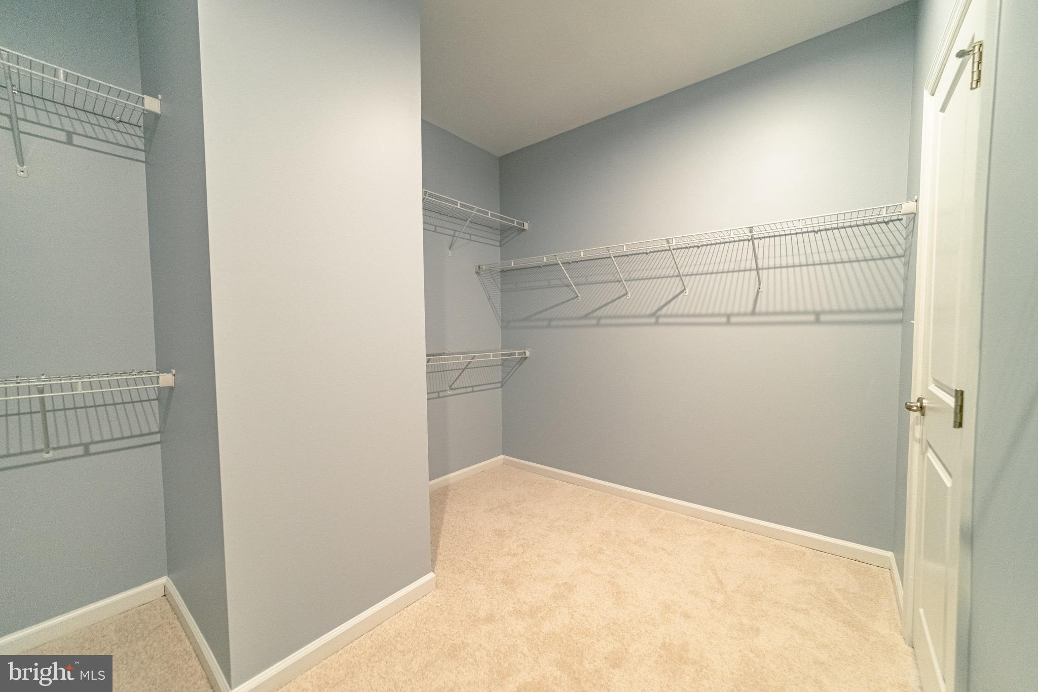 10423 STEEPLECHASE RUN LANE