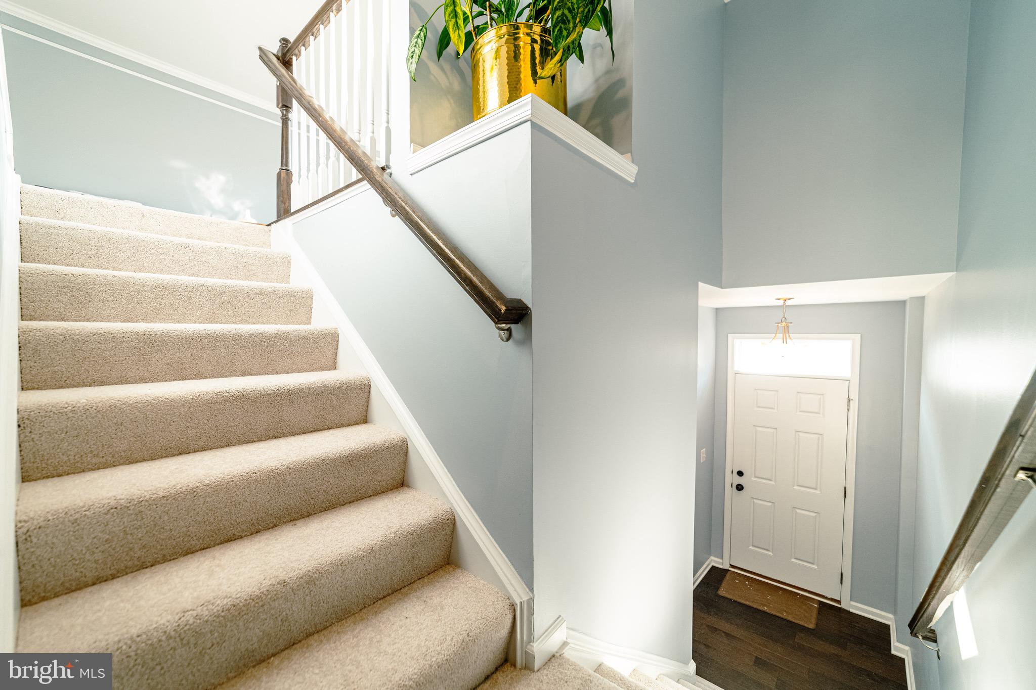 10423 STEEPLECHASE RUN LANE