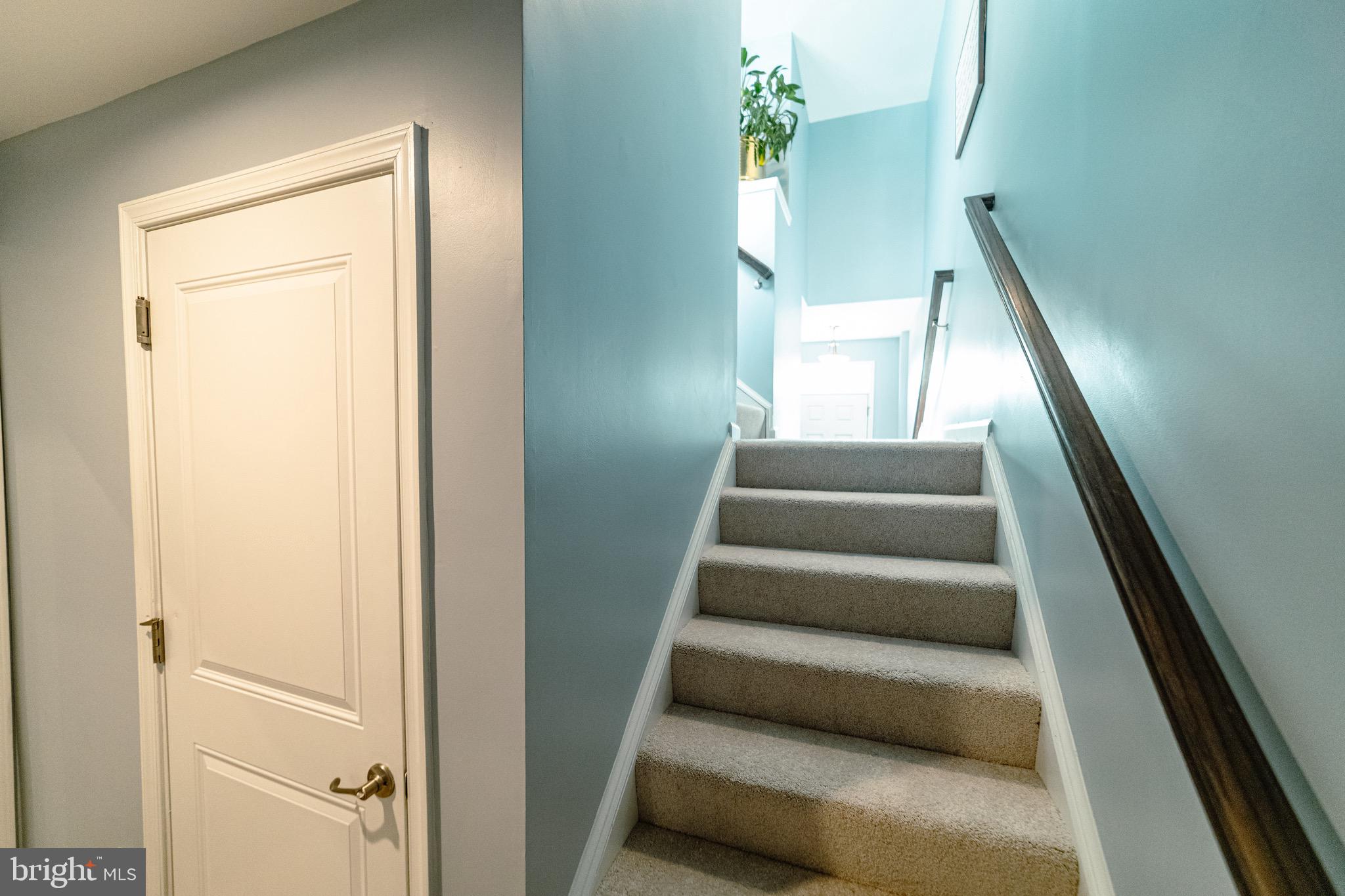 10423 STEEPLECHASE RUN LANE