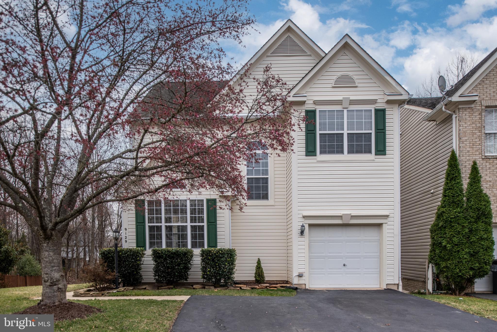 9129 Mineola Ct