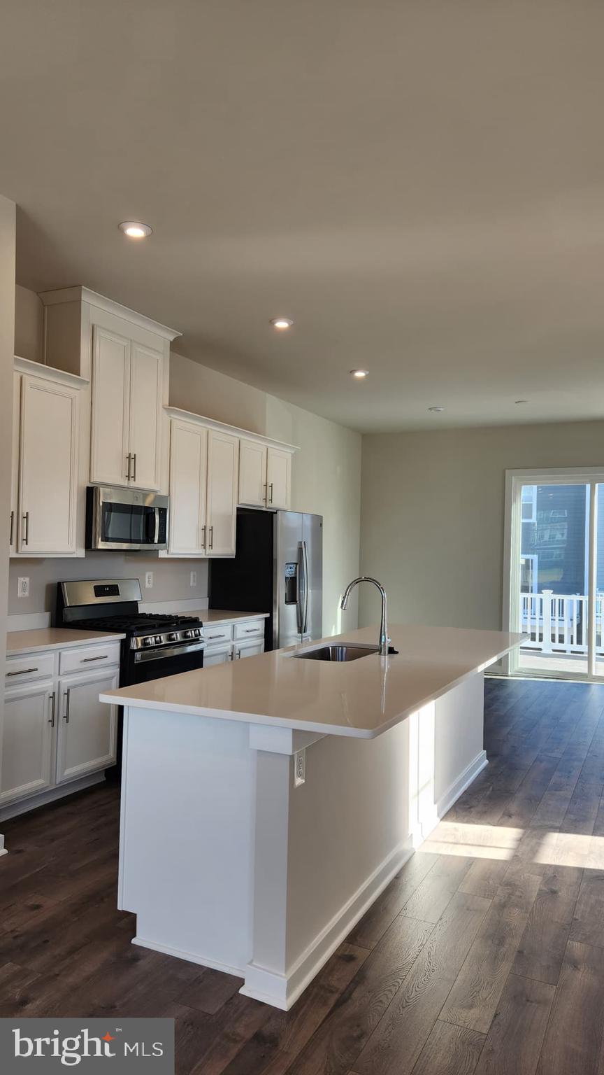 1709 AUTUMN MAPLE LEAF DR