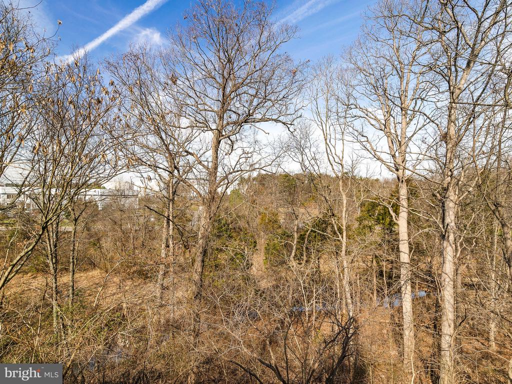 7306 SAINT JOHNS CT