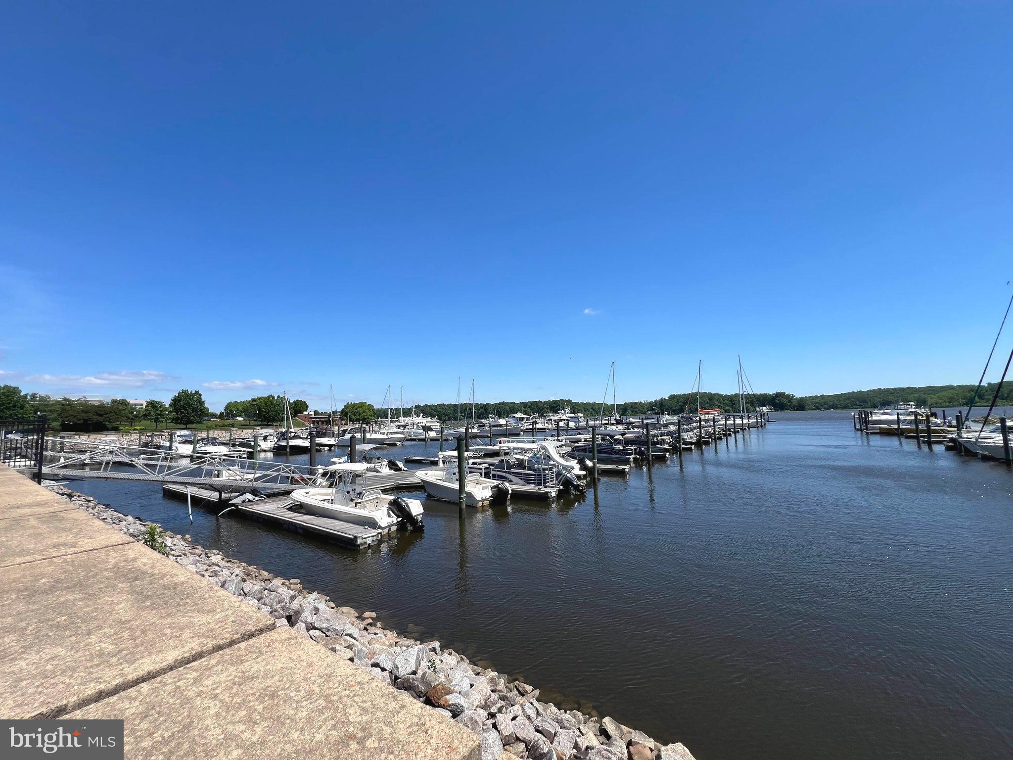 440 Belmont Bay Dr #406