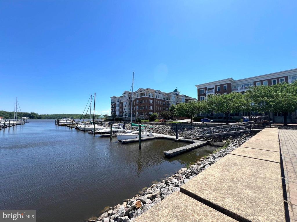 440 Belmont Bay Dr #406
