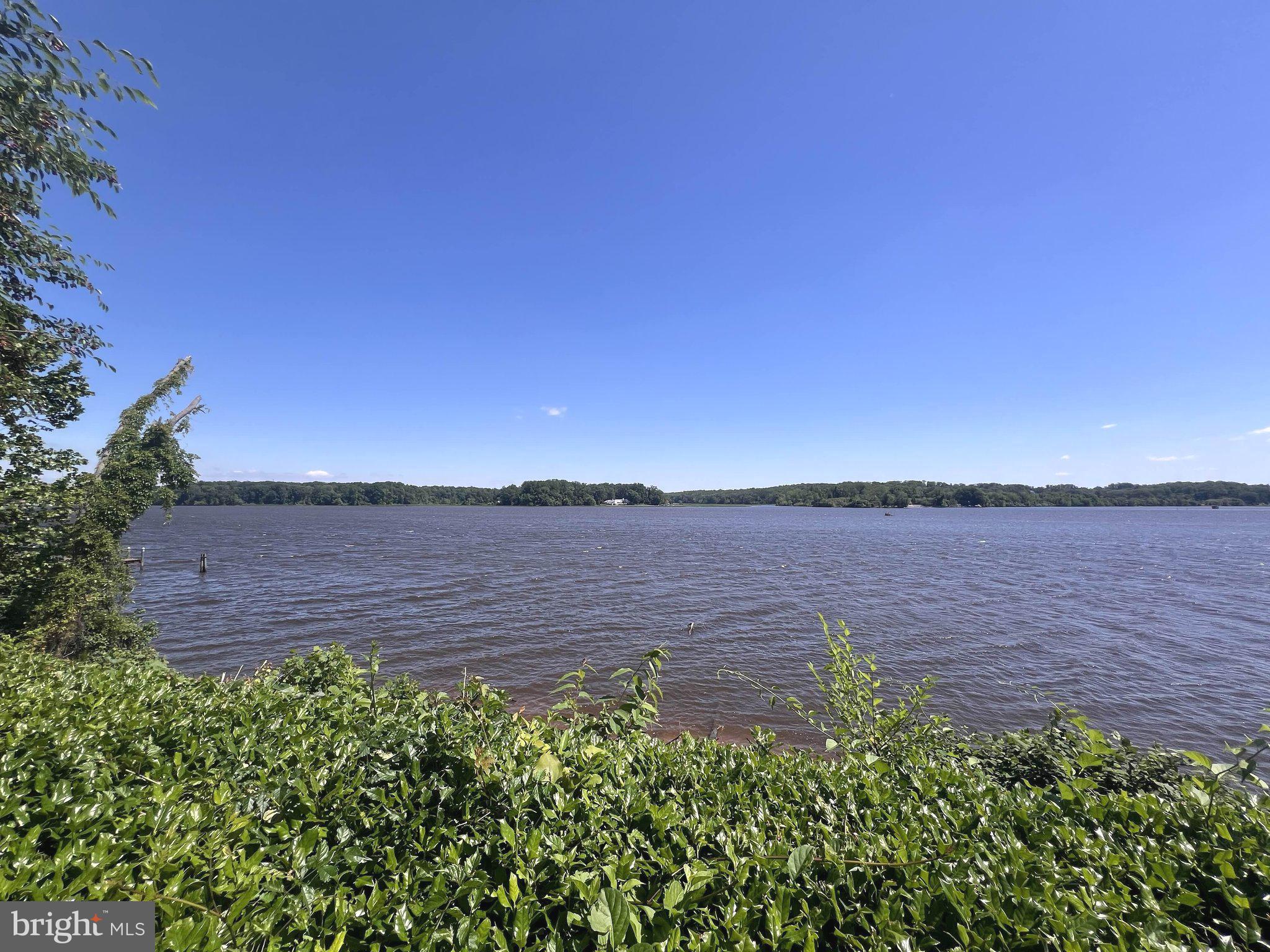 440 Belmont Bay Dr #406