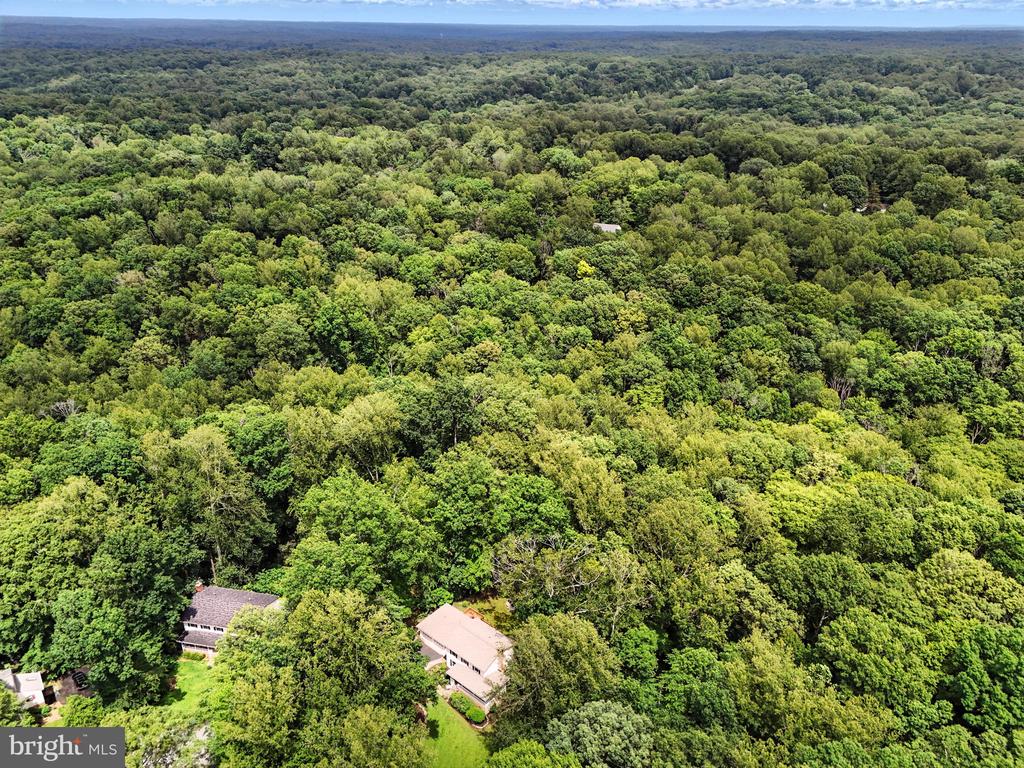 7193 Hall Tavern Ct
