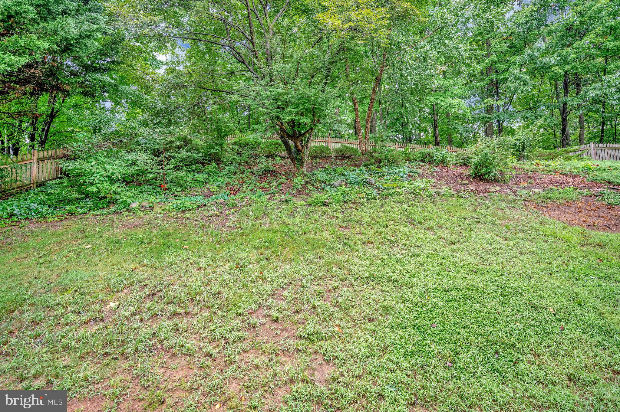 15356 BALD EAGLE LANE