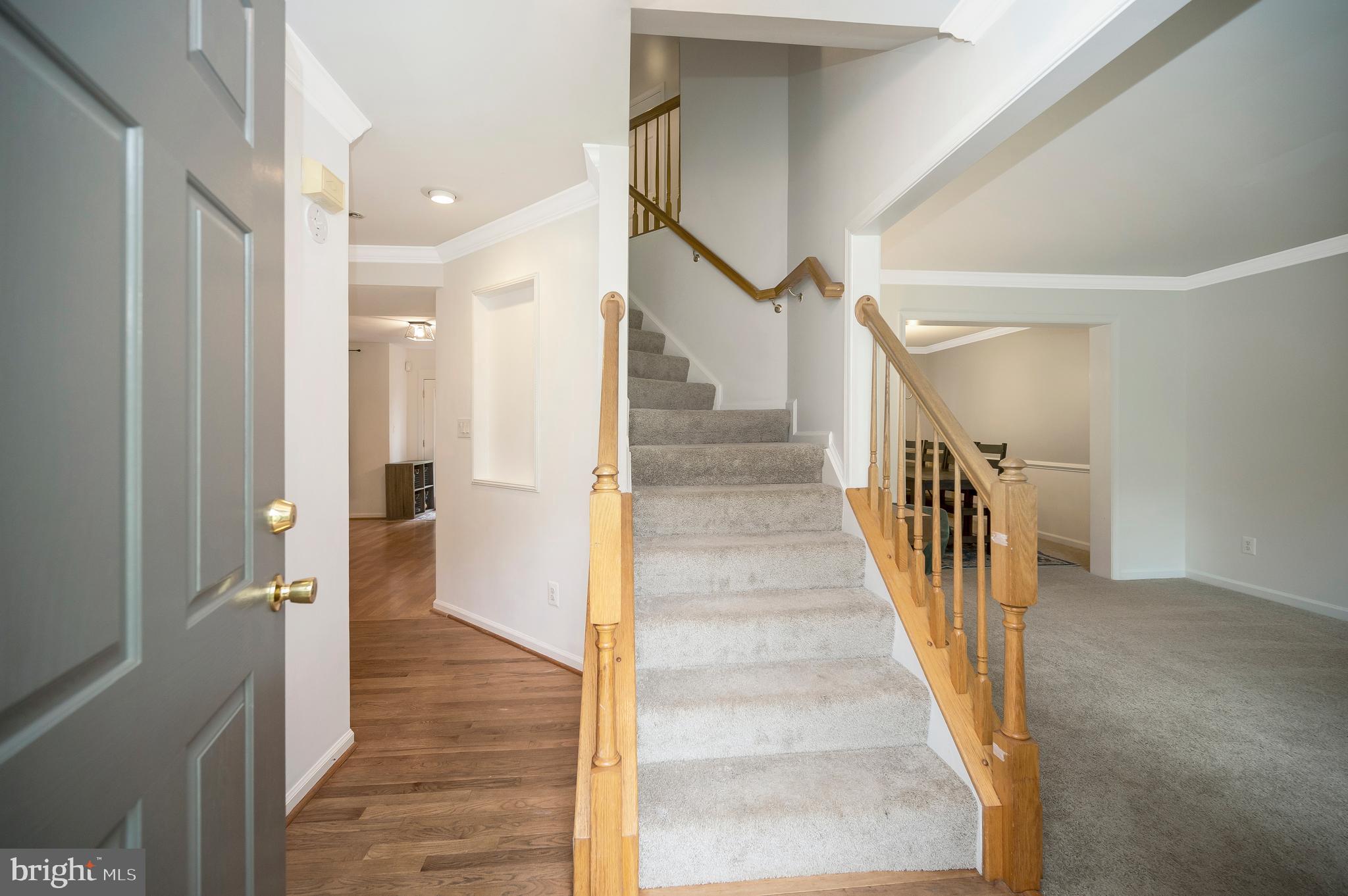 15356 BALD EAGLE LANE